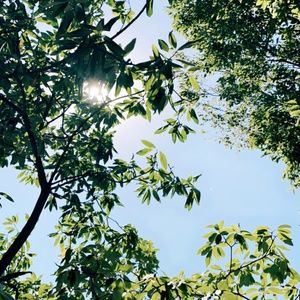 Meet your Posher, Yana